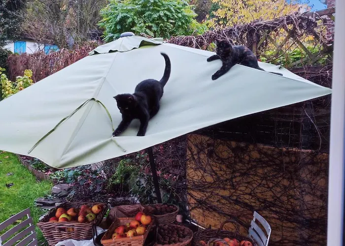 Chez Marie Au Coeur Du Laveu Rum i privatbostad